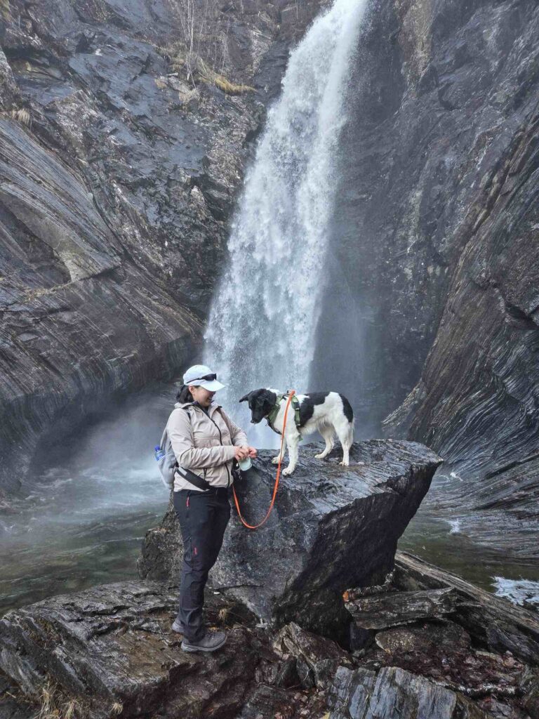 Waterfall and dog near Bodø