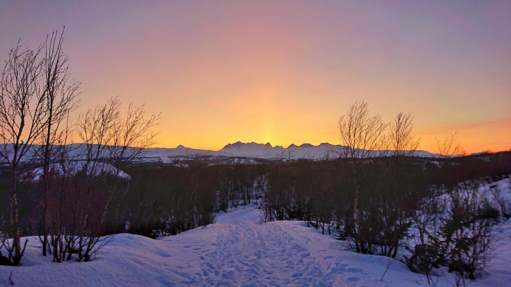 scenic hidden gems in bodø