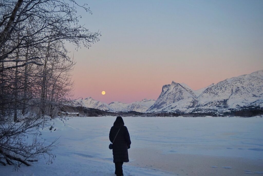 scenic winter in bodø