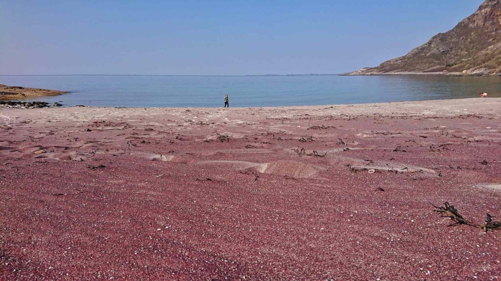 Bright red sand beach, Mjelle, Bodø
