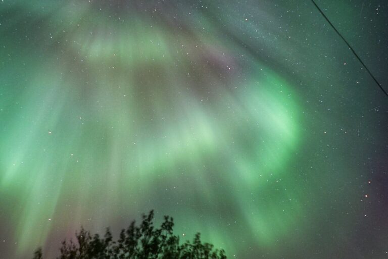 Aurora Moments: Northern Lights Experience in Bodø