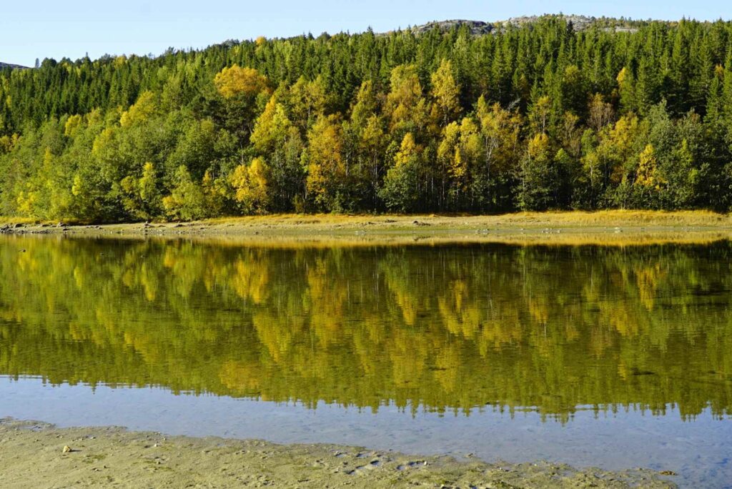 Autumn colors near Bodø