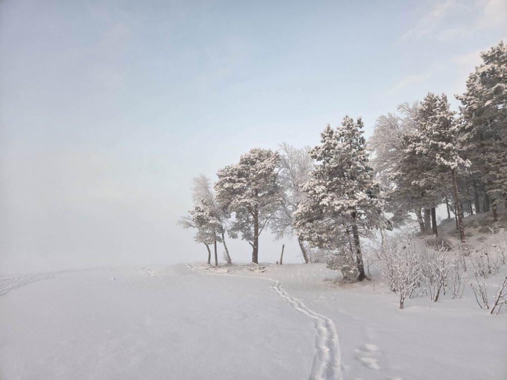 winter wonderland in bodø