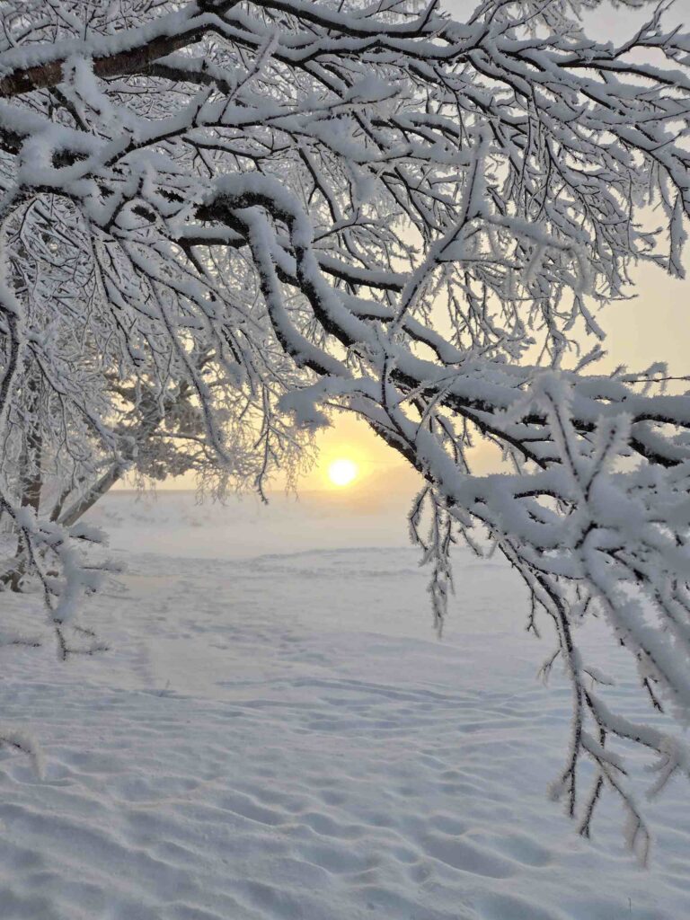 winter wonderland in bodø