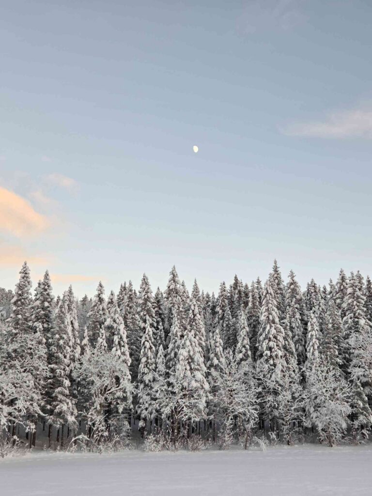 winter wonderland in bodø